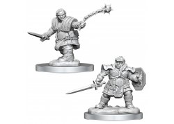 D&D Nolzur's Marvelous Unpainted Miniatures: Female Dwarf Fighter